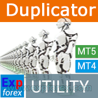 Duplicator - Изменение StopLoss и TakeProfit по уровням главной позиции